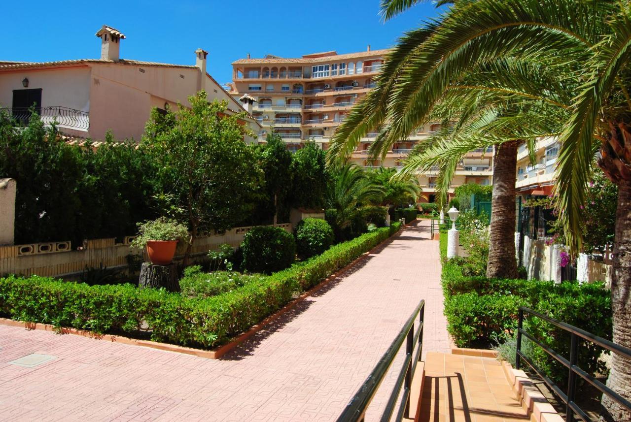 Iris Playa de Gandia
