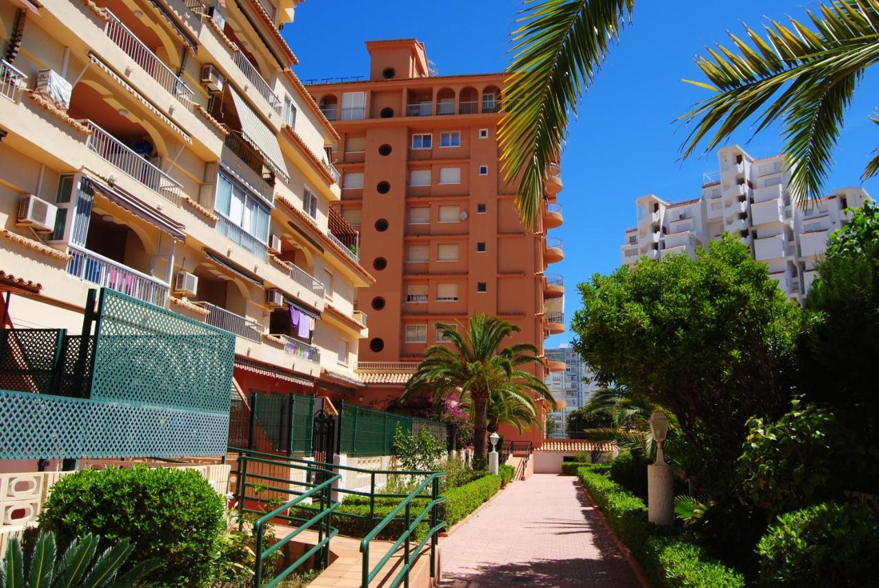Iris * Playa de Gandia